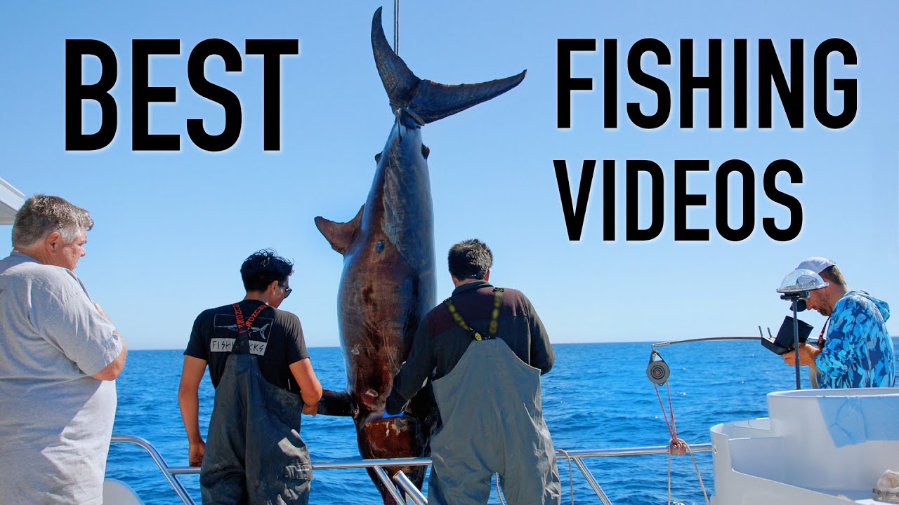 Top 10 Best Fishing Videos from 2025