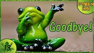 Frog Watch 2018 - Goodbye Little Froggies! [13]