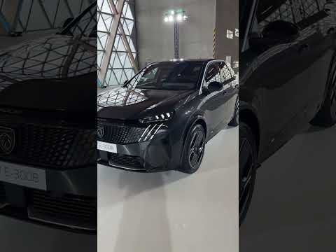 First Look: Peugeot E-3008