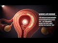 Subtle internal changes during pregnancy #education #science #biology 