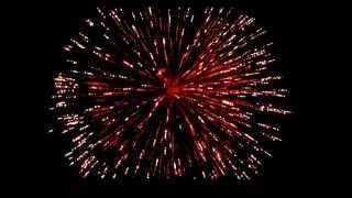 10 Inch Fireworks Shell Palm to Gold Glitter 250 mm