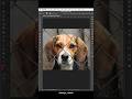 Photoshop tips 2024 - how to Remove Fences in Photoshop #design #tips #photoshop #tutorial #editing