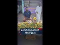 الملوة بألفي جنيه فقط انخفاض أسعار المانجو بسوق المفازة بولاية القضارف