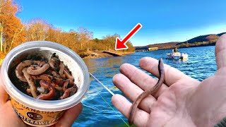 INSANE!!! BIG Fish STACKED Right By The Boat Ramp! Simple Hook & Worm Setup