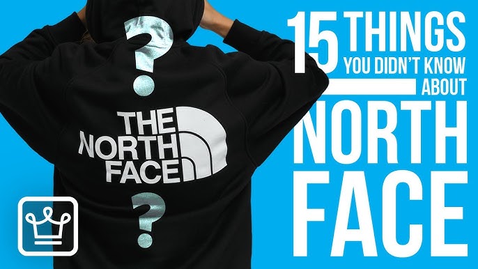 Shop THE NORTH FACE 2022-23FW Unisex Street Style Logo Pouches & Cosmetic  Bags by JMLuxury