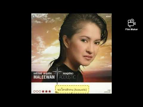 ขอใครสักคน (Ask Someone) [Acoustic] / มาลีวัลย์ เจมิน่า (Maleewan Jemina)