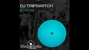 Dj Tripswitch - If You Feel (Original Mix)