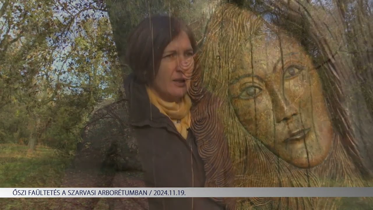 Ültess fát! - Őszi munkák a Szarvasi Arborétumban