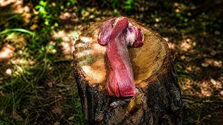 Beef Burger With Cow Stuff | Cooking In Nature