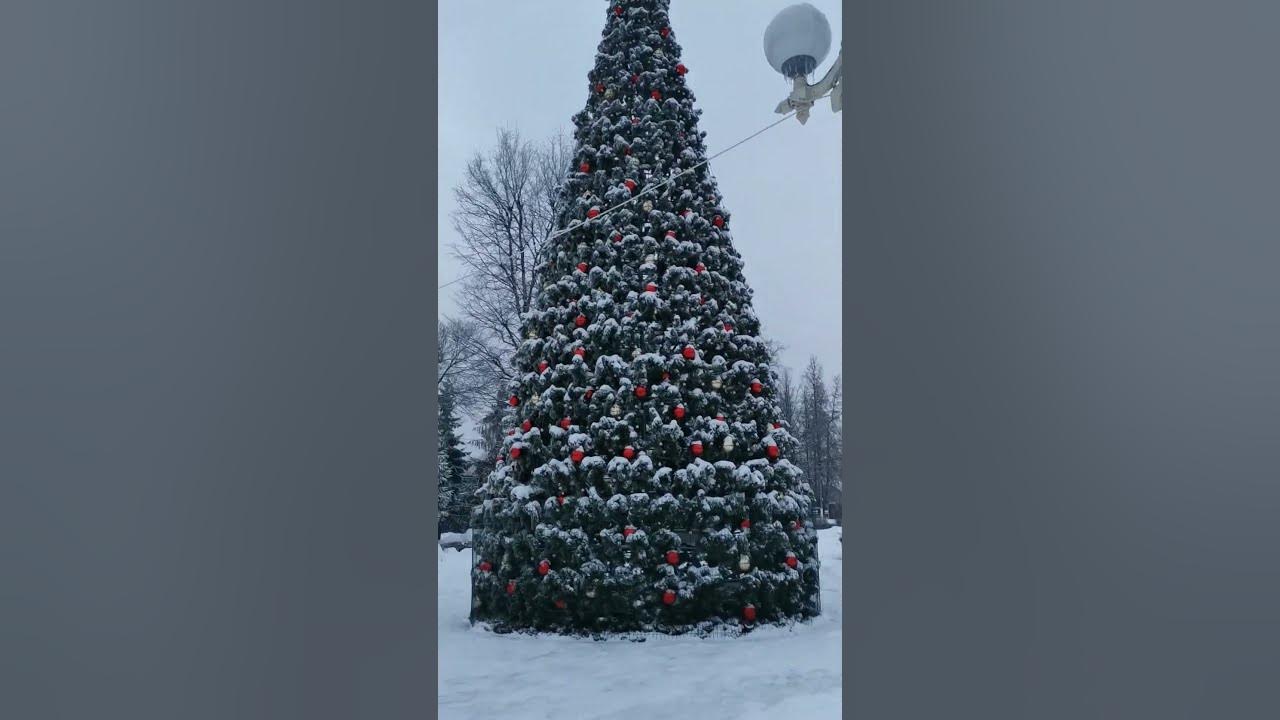 Велком нг. Велком нг. Опять елки. Опять елки. Опять елки.