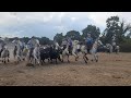 MONTAGNAC ABRIVADO-BANDIDO PARCOURS OUVERT 03/09/22