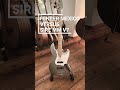 Fender Jazz Bass Player Series VS. Sire Marcus Miller V7 #shorts
