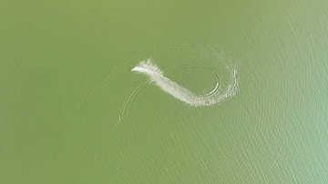 Joysway 8209V2 Super Mono X V2 Brushless power RC speed boat