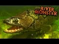 River Monster SnakeHead!!! - Feed And Grow | Ep8