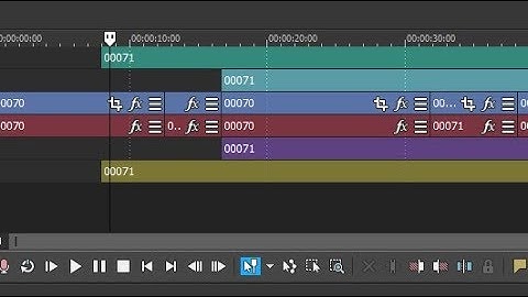 How to Increase/Decrease or Reset Audio/Video Track Size (Vegas Pro)