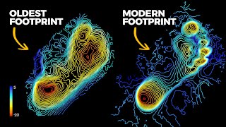 The Secrets of the Oldest Footprints Ever Found by Real Science 435,424 views 11 months ago 17 minutes