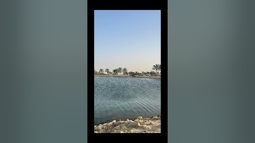 القارئ محمد بن أحمد هزاع