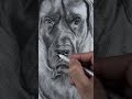 Dog in bw shorts art portrait