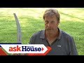 Pruning Trees with the Three Cut Method | Ask Roger | Ask This Old House