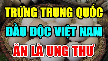 CẢNH BÁO: TRỨNG TRUNG QUỐC ĐẦU ĐỘC CẢ Việt Nam Ăn Là UNG THƯ, Có Ngày CHẾTT ĐỘT TỬ