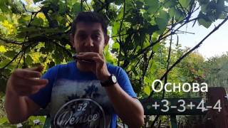 Блюз из четырех нот. Урок № 23. Часть 3   How to play the blues on the harmonica. Part 3