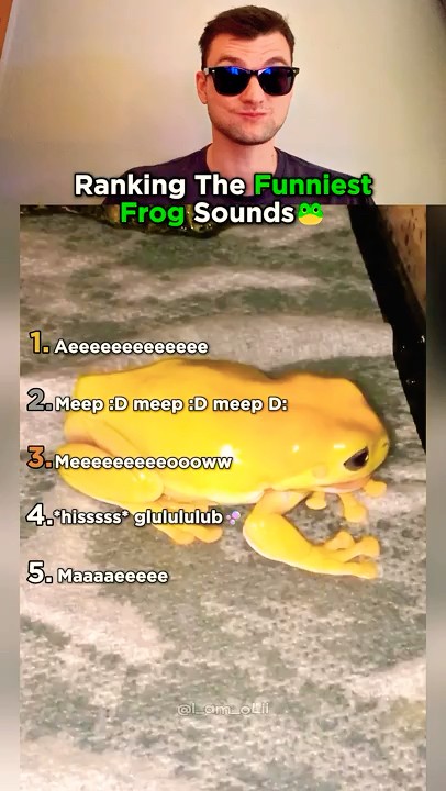 Top 5 Frog Sounds That Made Us Laugh!