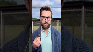 coaching little league was a mistake... Net Worth