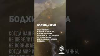 Бодхидхарма. Когда мир и ум оба прозрачны, это истинное видение. #shorts #shortsvideo #youtubeshorts