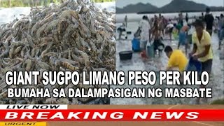 🔴 24 ORAS EXPRESS MARCH 2, 2023 HD! PHILIPPINE WEST SEA VINES BREAKING NEWS VIRAL