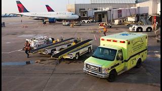 Datos WHEN AVIATION SAFETY BREAKDOWN... WHO'S RESPONSIBLE | BTS PODCAST Noticias