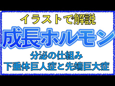 教科書をわかりやすく！「成長ホルモンの働きと分泌過剰症状とは」下垂体巨人症と先端巨大症の違いを解説！