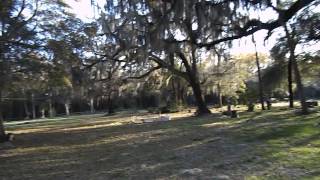 Spring Hill Cemetery - Brooksville