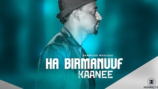 Damissoo Moosisaa - Ha Birmannuuf Kaanee - Ethiopian Oromo Music 2021 [ Video]