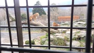 20131208(9)