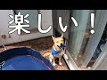 ペット用プールで遊んでみた！