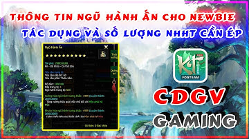 Kiếm Vương 1 ADNX Mobile | Sơ Lược Tác Dụng Ngũ Hành Ấn Cho AE Newbie | CDGV Gaming