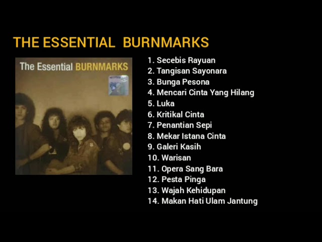 THE ESSENTIAL BURNMARKS class=