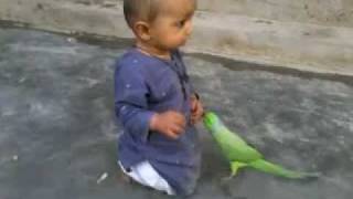 love between baby and parrot