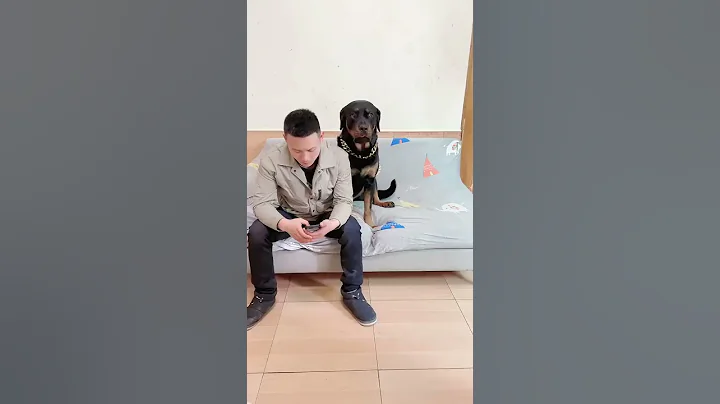 不是不抱，而是時候未到😂一坨真是演技在線！#向威和一坨 #羅威納護衛犬 - 天天要聞