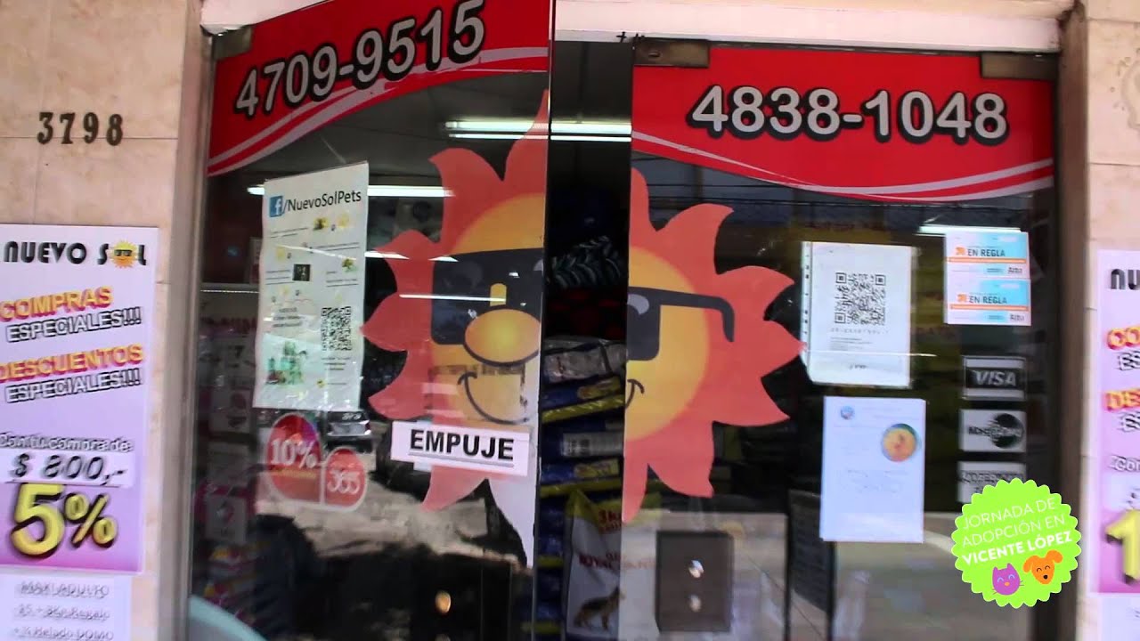 JORNADA DE ADOPCION EN VICENTE LOPEZ / NUEVO SOL PET SHOP YouTube