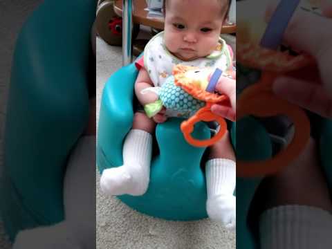 C Tries To Hold A Toy 