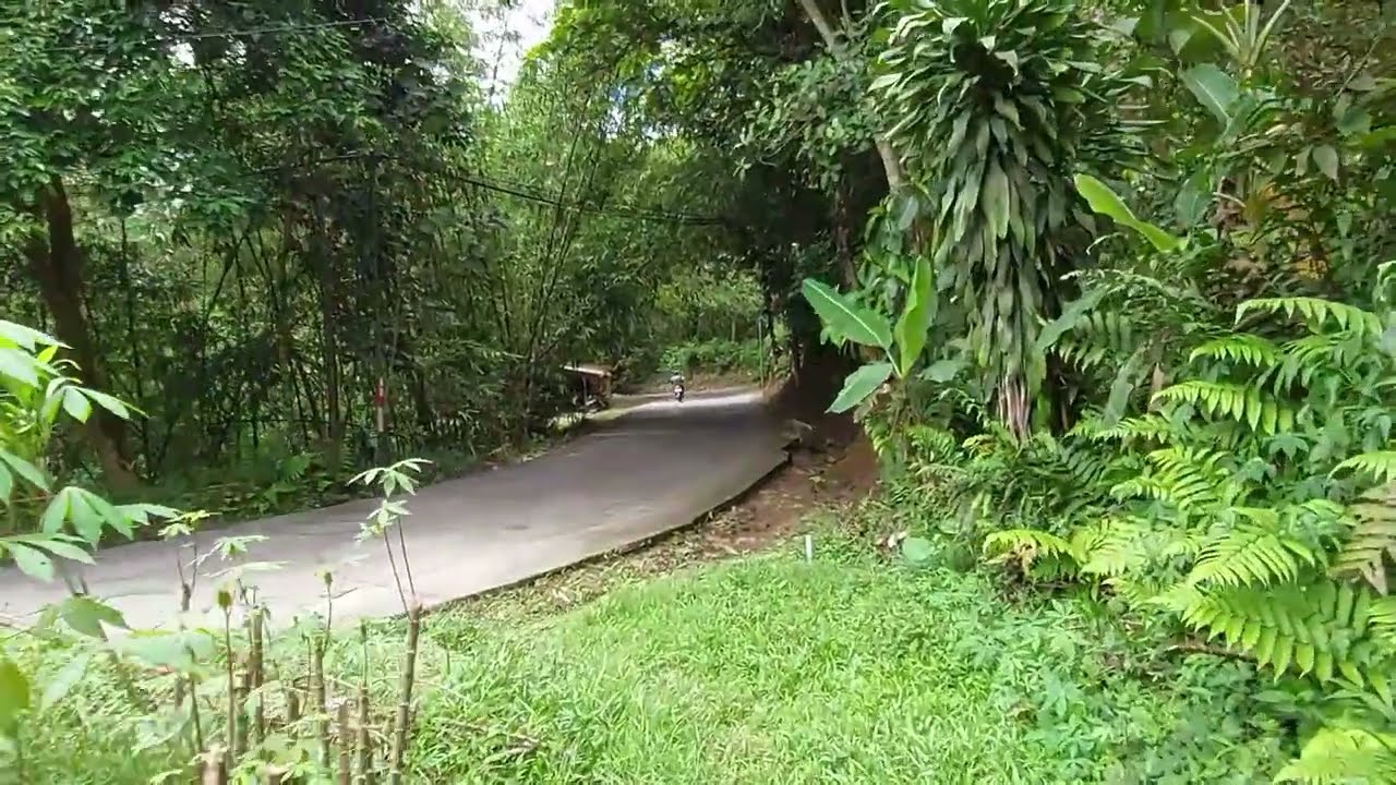 Tanah Pinggir Jalan . Luas 5.000 Meter²