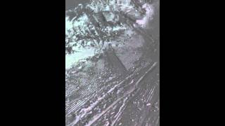 IMG 03761