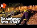 Feuerwehr kämpft bis zur Erschöpfung gegen Waldbände | Sächsische Schweiz