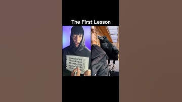 Perfect Lesson #beatbox #tiktok