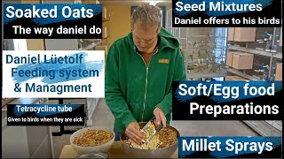 Daniel Lotolf's Feeding system by Parrots Hobby & Tourism  590 views 5 days ago 20 minutes