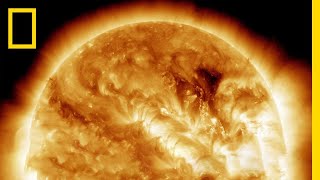 Солнце: основные факты о нашей родной звезде