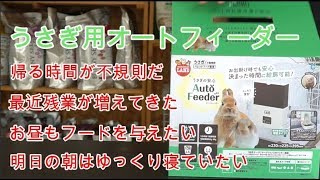 うさぎのご飯が自動で!!うさぎ用オートフィーダー