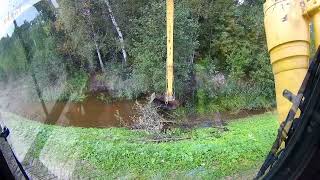 Beaver dam at the old site