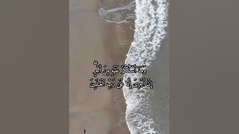 تعالو ناخذ كم حسنة مع بعض❤ سورة الشعراء عبيد زكى الكردى #القرآن #اكسلبور #حالات  #قران_كريم